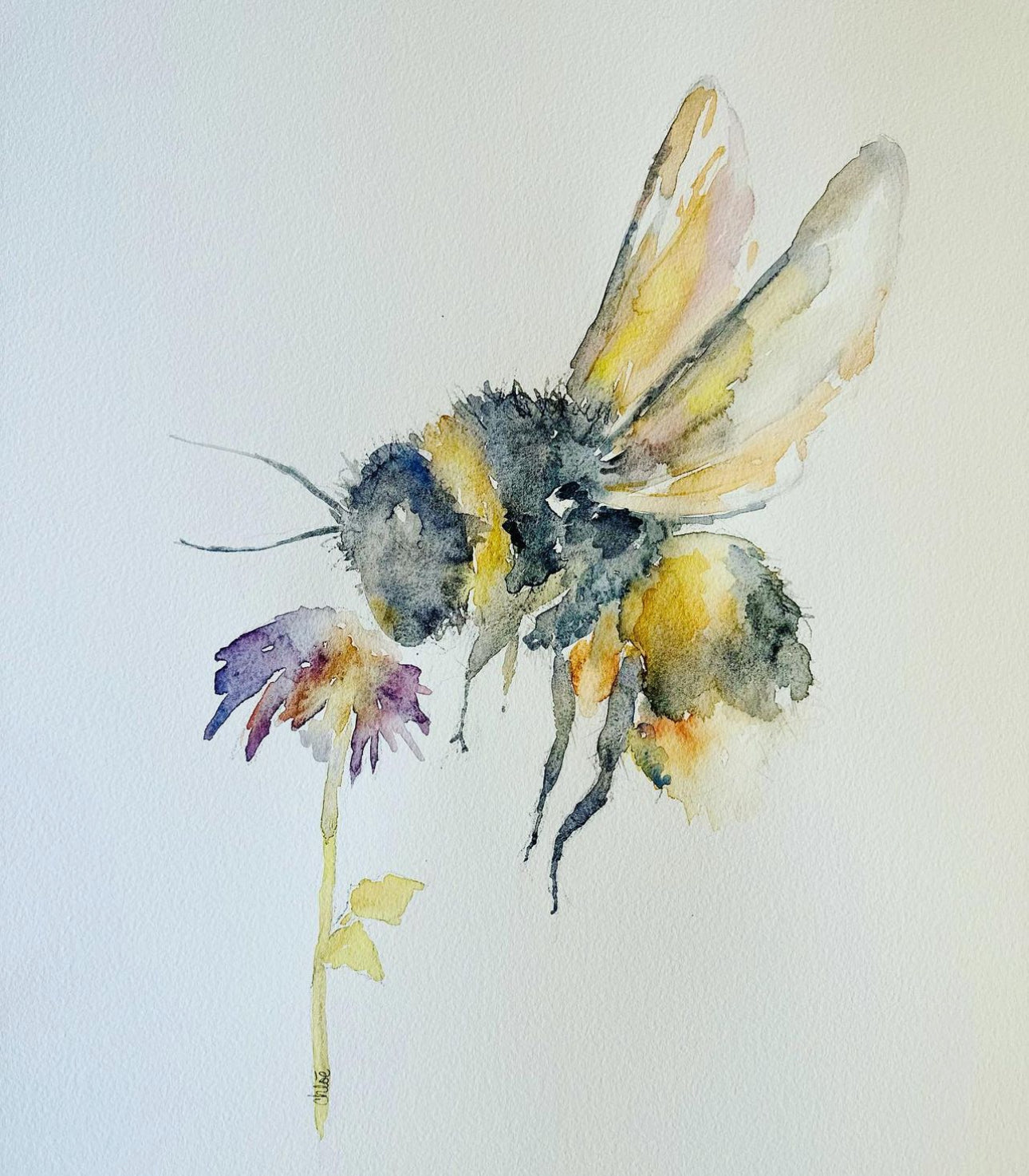 Bumblebee hotsell Watercolor