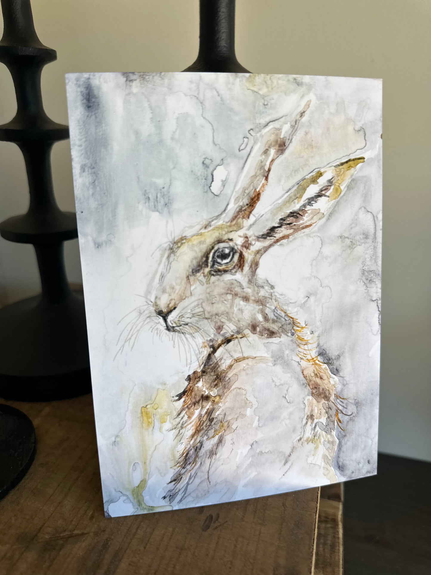 Grey Hare