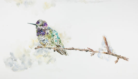 "Hummingbird & Branch"