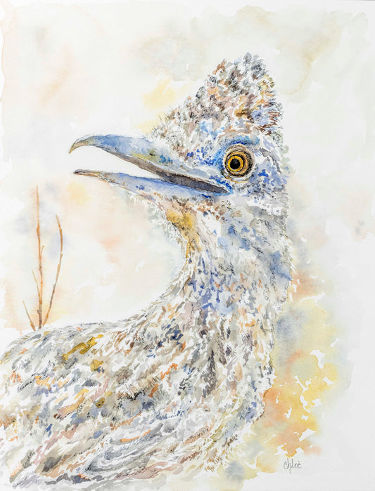 "Roadrunner Portrait"